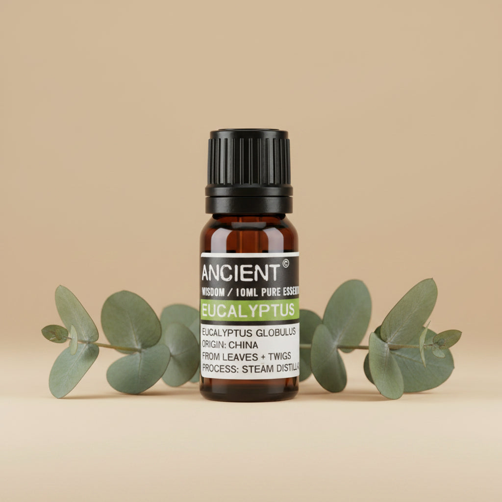 Eukaliptų eterinis aliejus 10 ml
