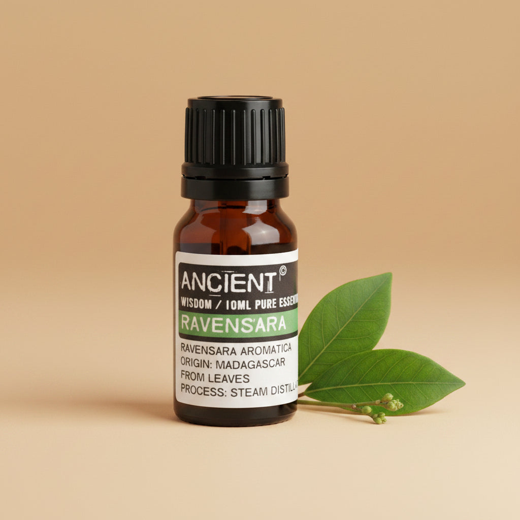 Ravensaros eterinis aliejus 10 ml