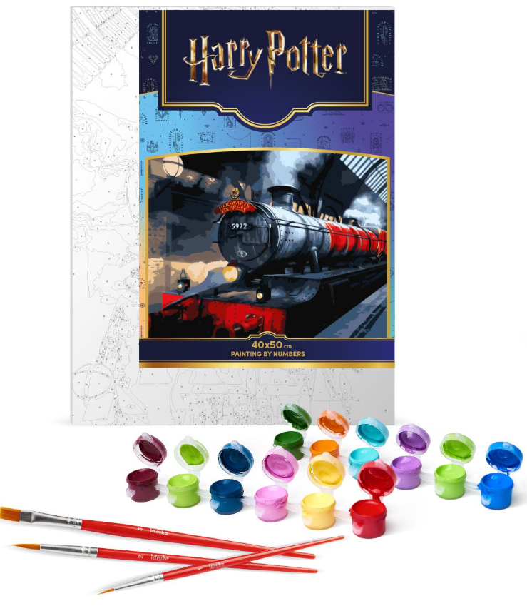 Tapyba pagal skaičius: HARRY POTTER: HOGWARTS EXPRESS 40x50 cm