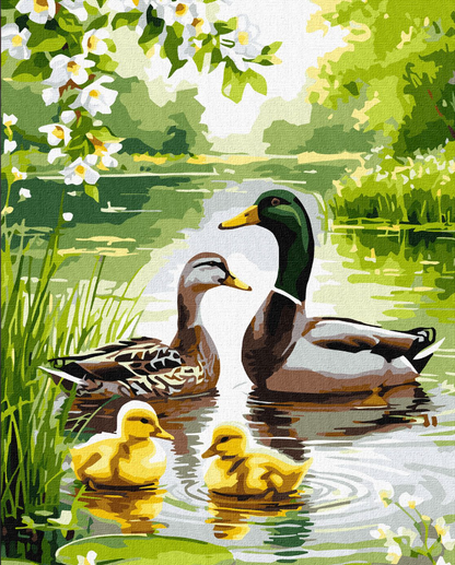 Maalaus numeroilla: INTOHIMO 40x50 cm