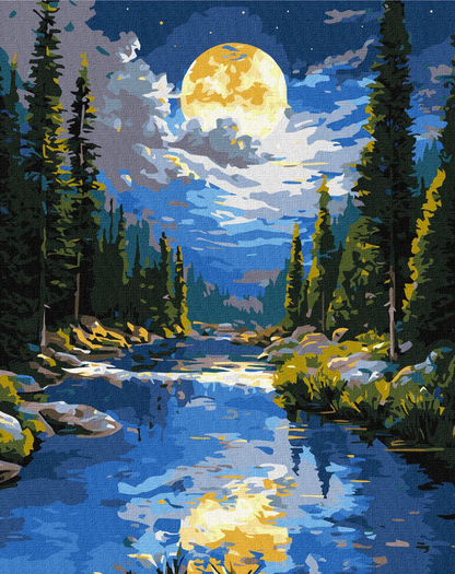Maalaus numeroilla: INTOHIMO 40x50 cm
