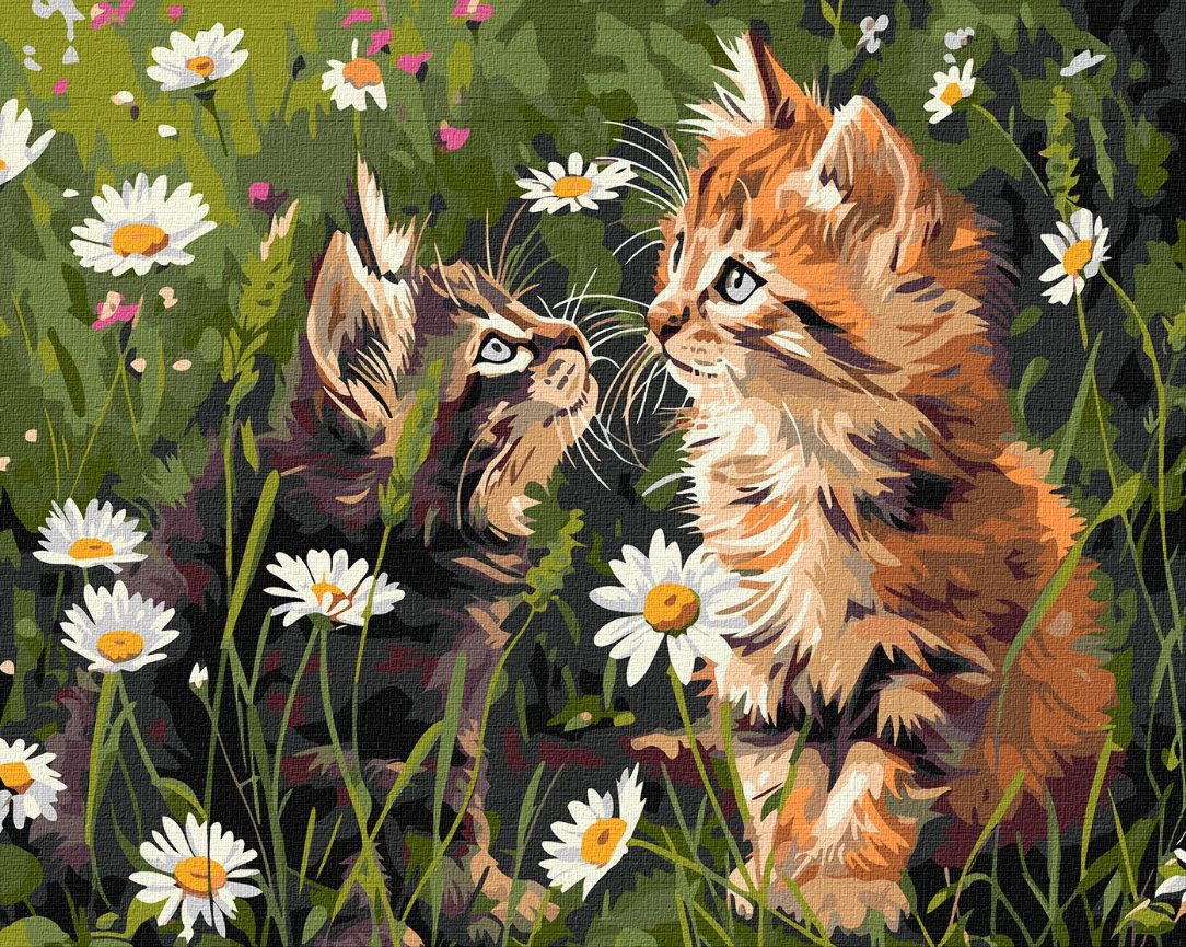 Tapyba pagal skaičius: KAČIUKAI GĖLĖSE 40x50 cm