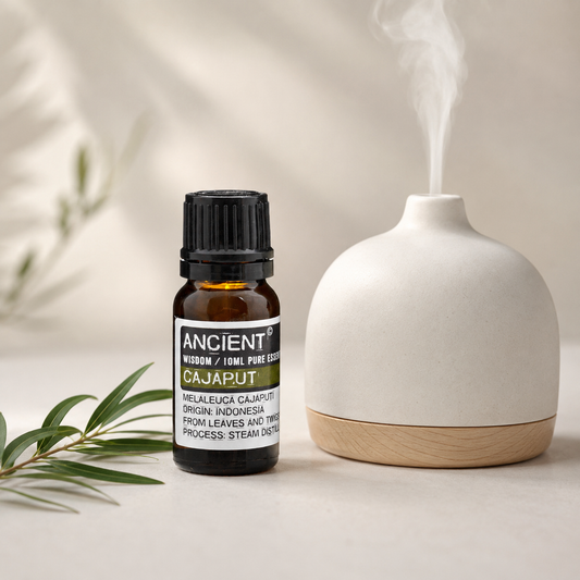 Kajaputo eterinis aliejus 10 ml