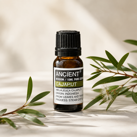 Kajaputo eterinis aliejus 10 ml