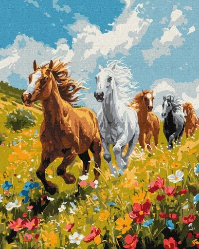Tapyba pagal skaičius: LAISVĖ 40x50 cm
