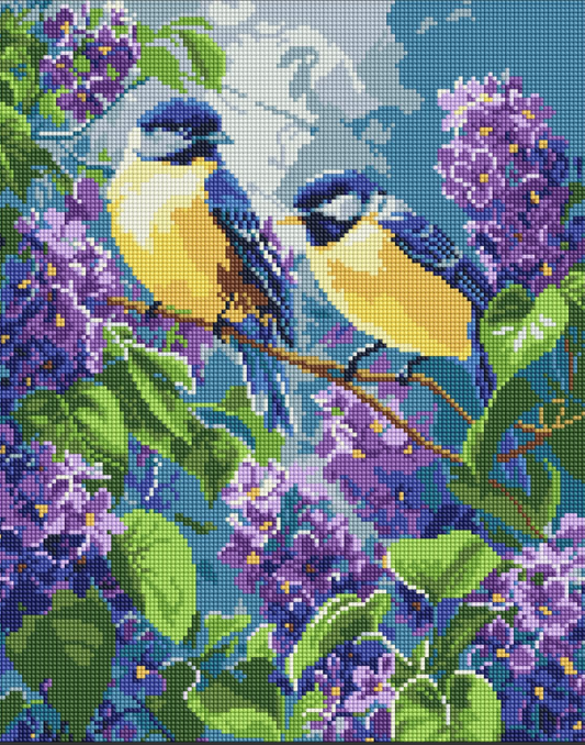 Deimantinė mozaika: PAVASARIO DUETAS 40x50 cm