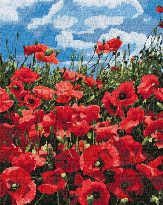 Tapyba pagal skaičius: AGUONŲ LAUKAS 40x50 cm