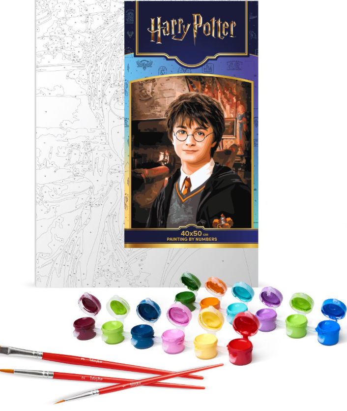 Tapyba pagal skaičius: HARRY POTTER 40x50 cm