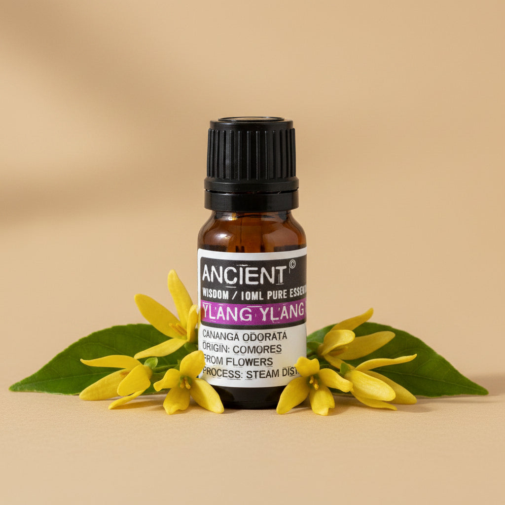 Ylang Ylang III eterinis aliejus 10 ml