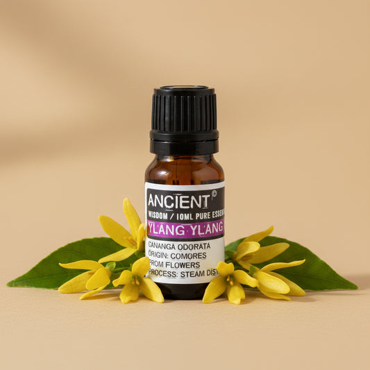 Ylang Ylang III eterinis aliejus 10 ml