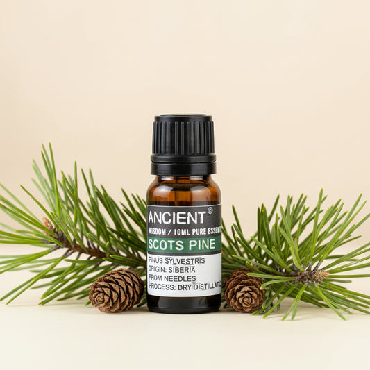 Paprastųjų pušų eterinis aliejus 10 ml
