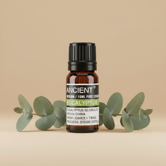 Eukaliptų eterinis aliejus 10 ml