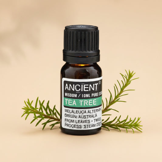 Arbatmedžių eterinis aliejus 10 ml