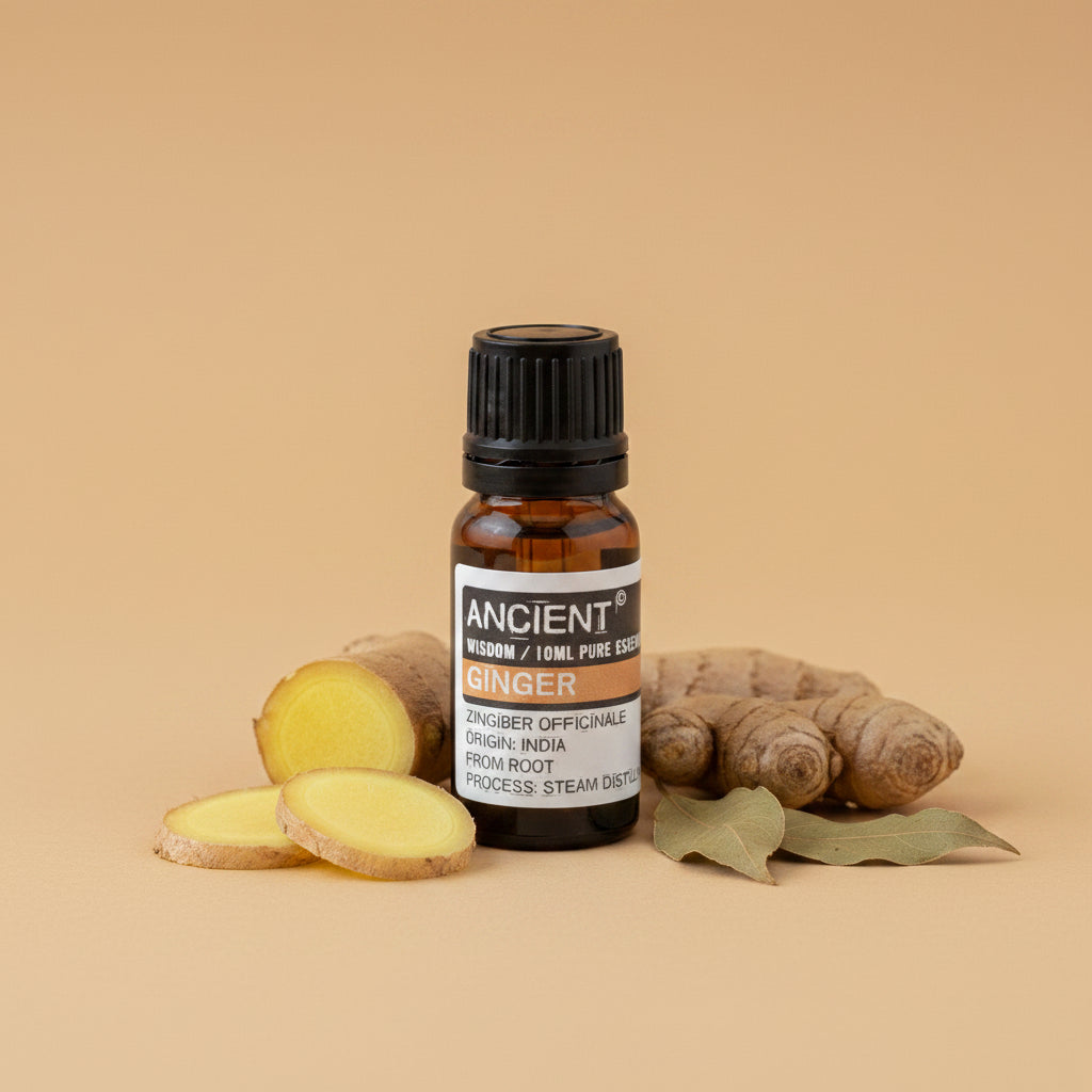 Imbierų eterinis aliejus 10 ml