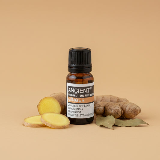 Imbierų eterinis aliejus 10 ml