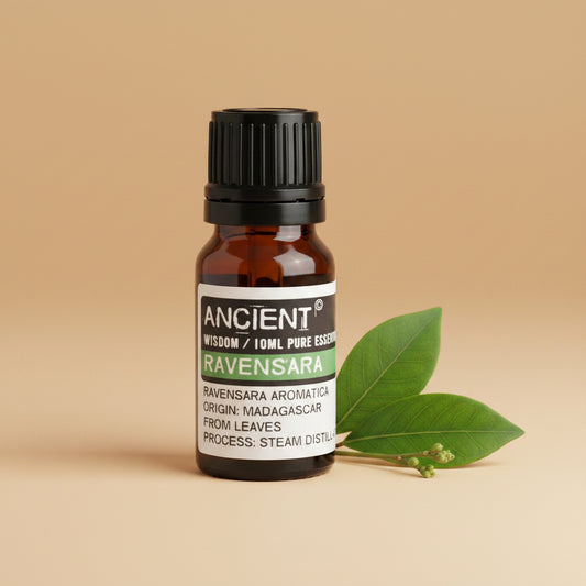 Ravensaros eterinis aliejus 10 ml
