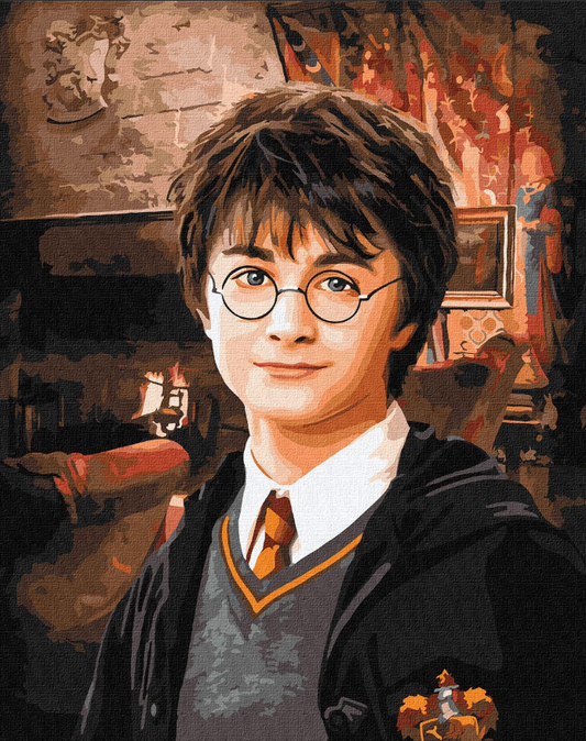 Tapyba pagal skaičius: HARRY POTTER 40x50 cm