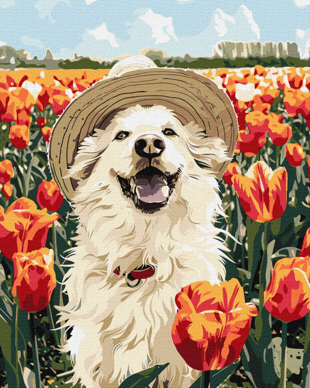 Tapyba pagal skaičius: LAIMINGAS LABRADORAS 40x50 cm