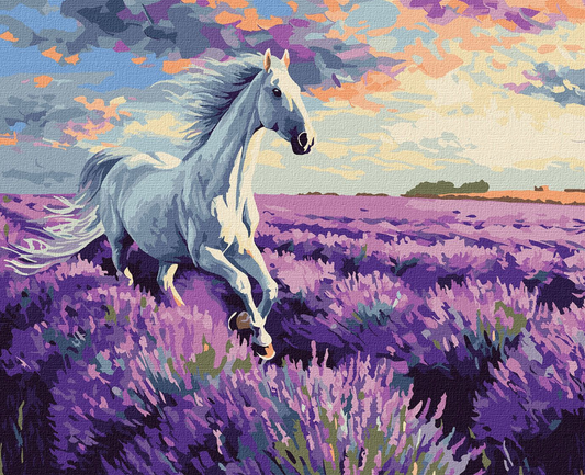 Tapyba pagal skaičius: LEVANDŲ LAUKE 40x50 cm