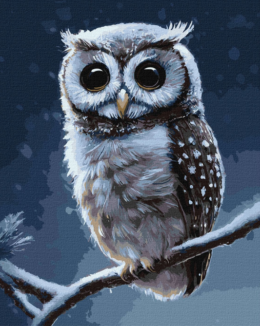 Tapyba pagal skaičius: PELĖDA 40x50 cm