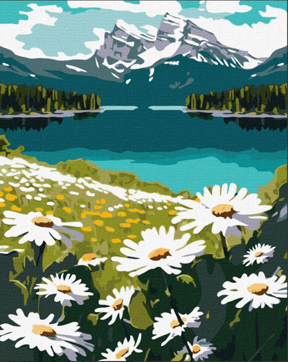 Maalaus numeroiden mukaan: KUKKIVA PÄIVÄNKAARIKASTA 40x50 cm
